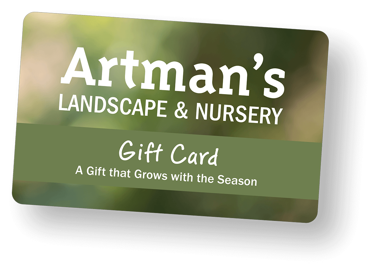 Gift-Card Gift-Card